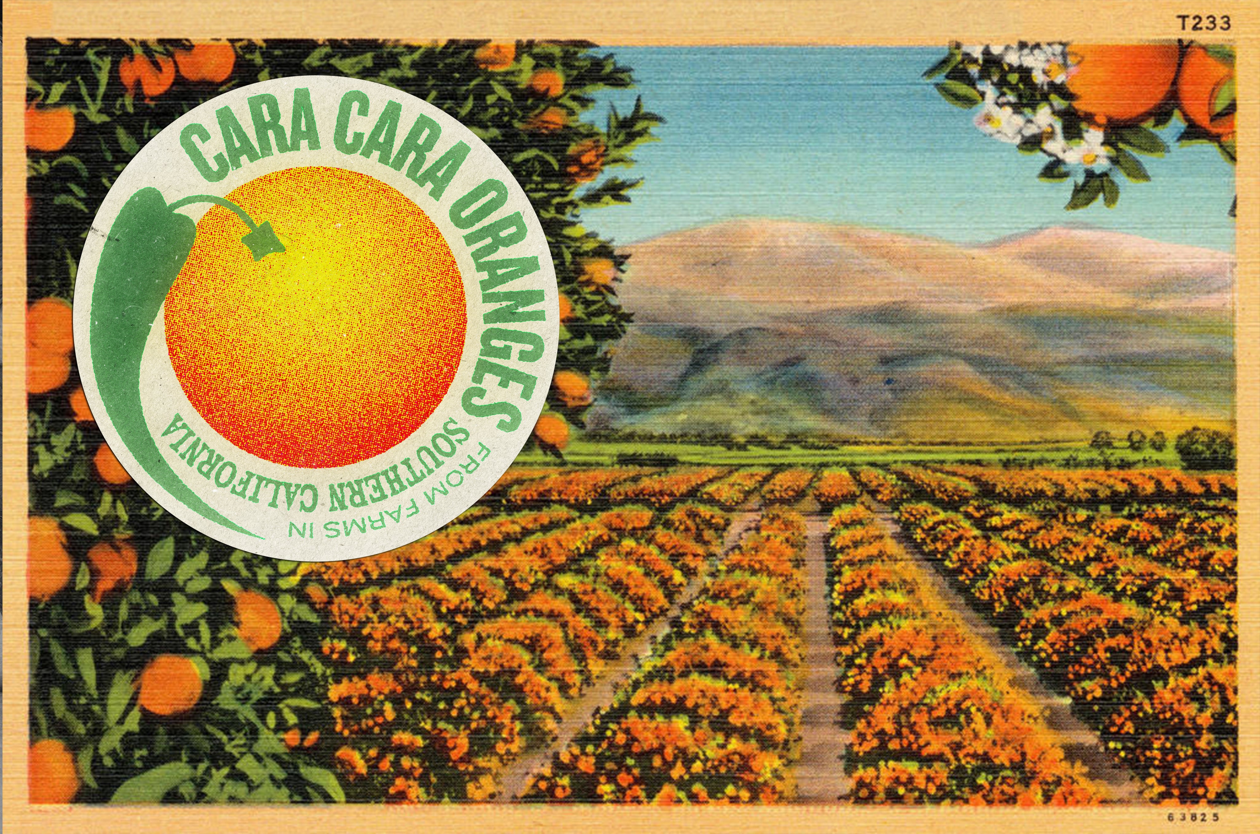 CaraCaraOranges_landscape.jpg